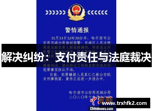 解决纠纷：支付责任与法庭裁决